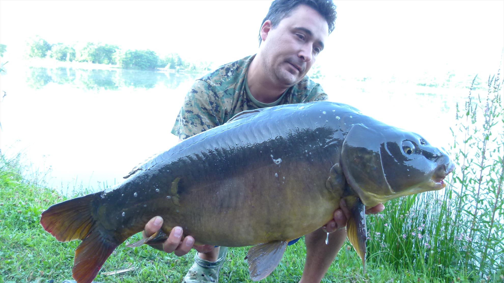 ISOLA DEL PESCATORE 3 - 4 iul. - p1030698.JPG